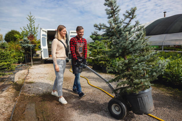 Best Professional Tree Care  in Pleasant Grove, UT